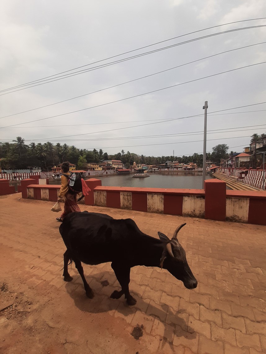 img/21/Gokarna (8).jpg